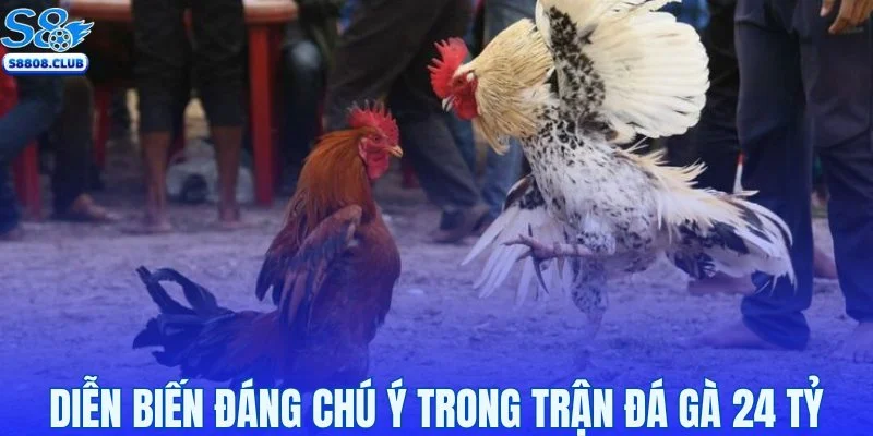 Diễn biến đáng chú ý trong trận đá gà 24 tỷ